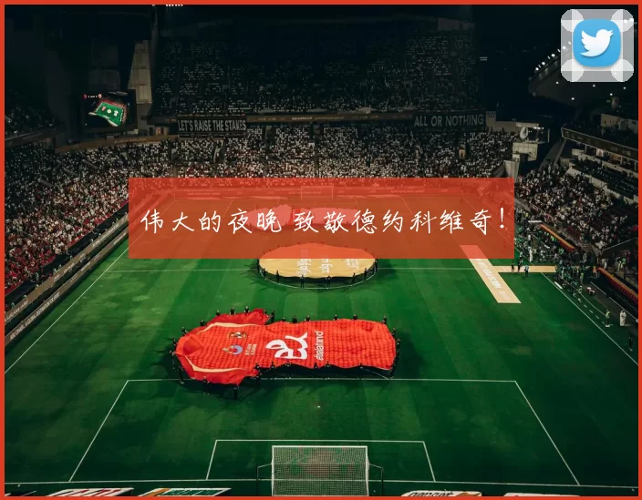 伟大的夜晚 致敬德约科维奇！