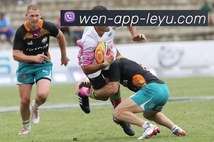 乐鱼官网平台生态图